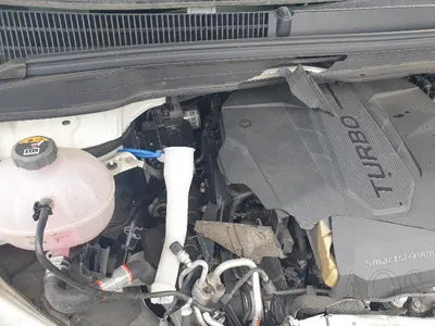 2021 Kia Carnival KNANE81BBMS025839 VIN:KNANE81BBMS025839