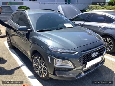 2019 Hyundai Kona KMHK381EGLU020698 VIN:KMHK381EGLU020698