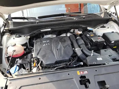 2021 Hyundai Santa FE KMHS381LGMU397907 VIN:KMHS381LGMU397907