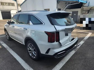2021 Kia Sorento KNARL81BGMA107329 VIN:KNARL81BGMA107329
