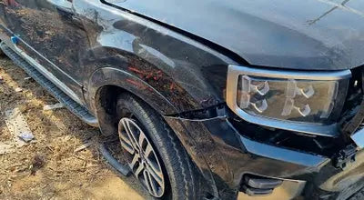 2022 Kia Mohave KNAKM814DNA235664 VIN:KNAKM814DNA235664