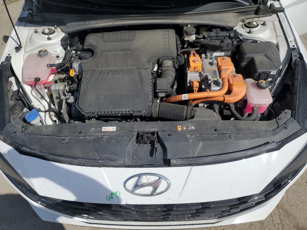 2023 HYUNDAI ELANTRA LIMITED VIN:KMHLN4AJ5PU048637