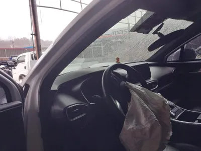 2020 Hyundai Santa FE KMHS381HGMU309411 VIN:KMHS381HGMU309411