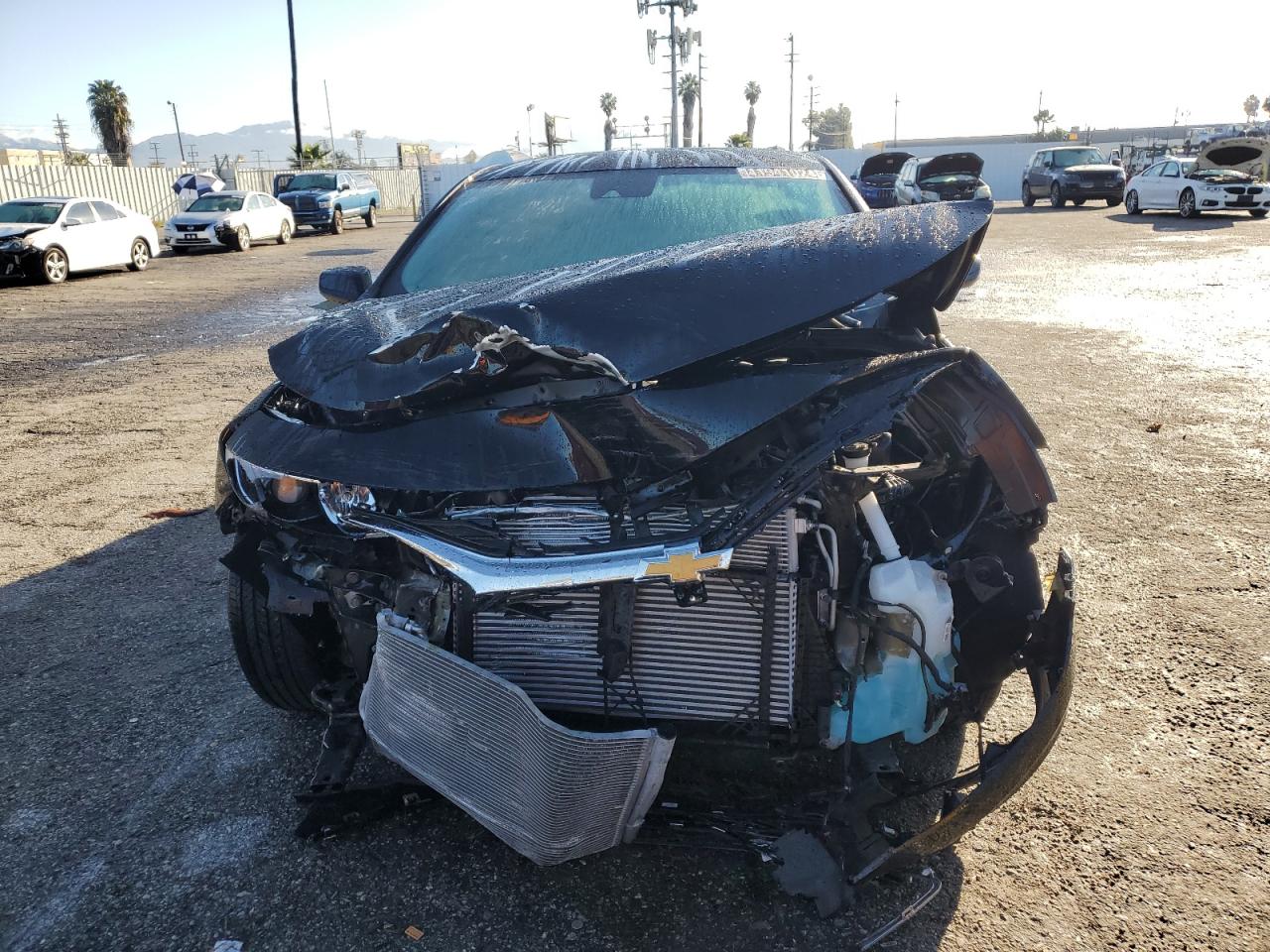 2023 CHEVROLET MALIBU LT VIN:1G1ZD5STXPF248787