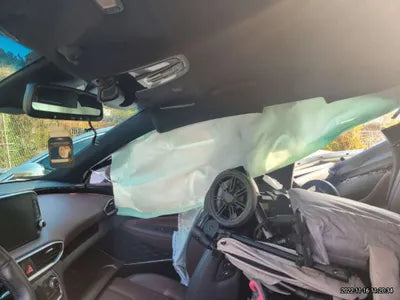 2019 Hyundai Santa FE 040KMKMHS581CDKU1 VIN:040KMKMHS581CDKU1