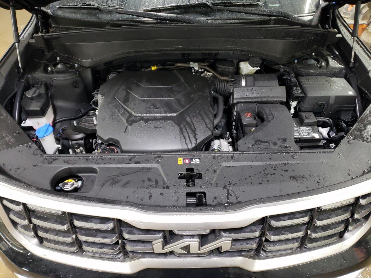 2024 KIA TELLURIDE S VIN:5XYP64GC0RG531159