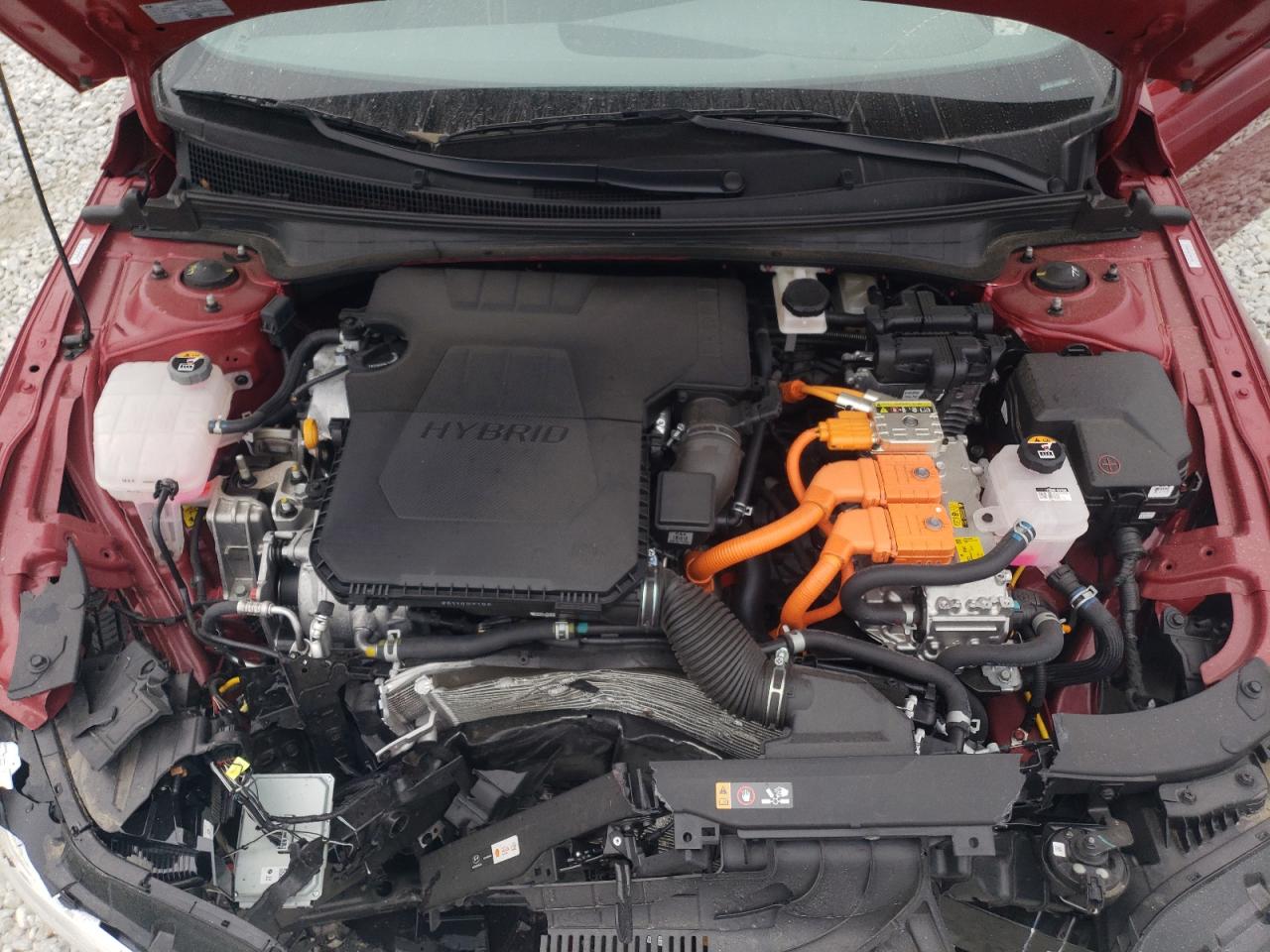 2024 HYUNDAI ELANTRA BLUE VIN:KMHLM4DJ7RU096013