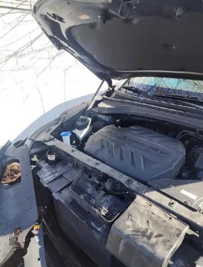 2020 Hyundai Santa FE KMHS581CDLU193266 VIN:KMHS581CDLU193266