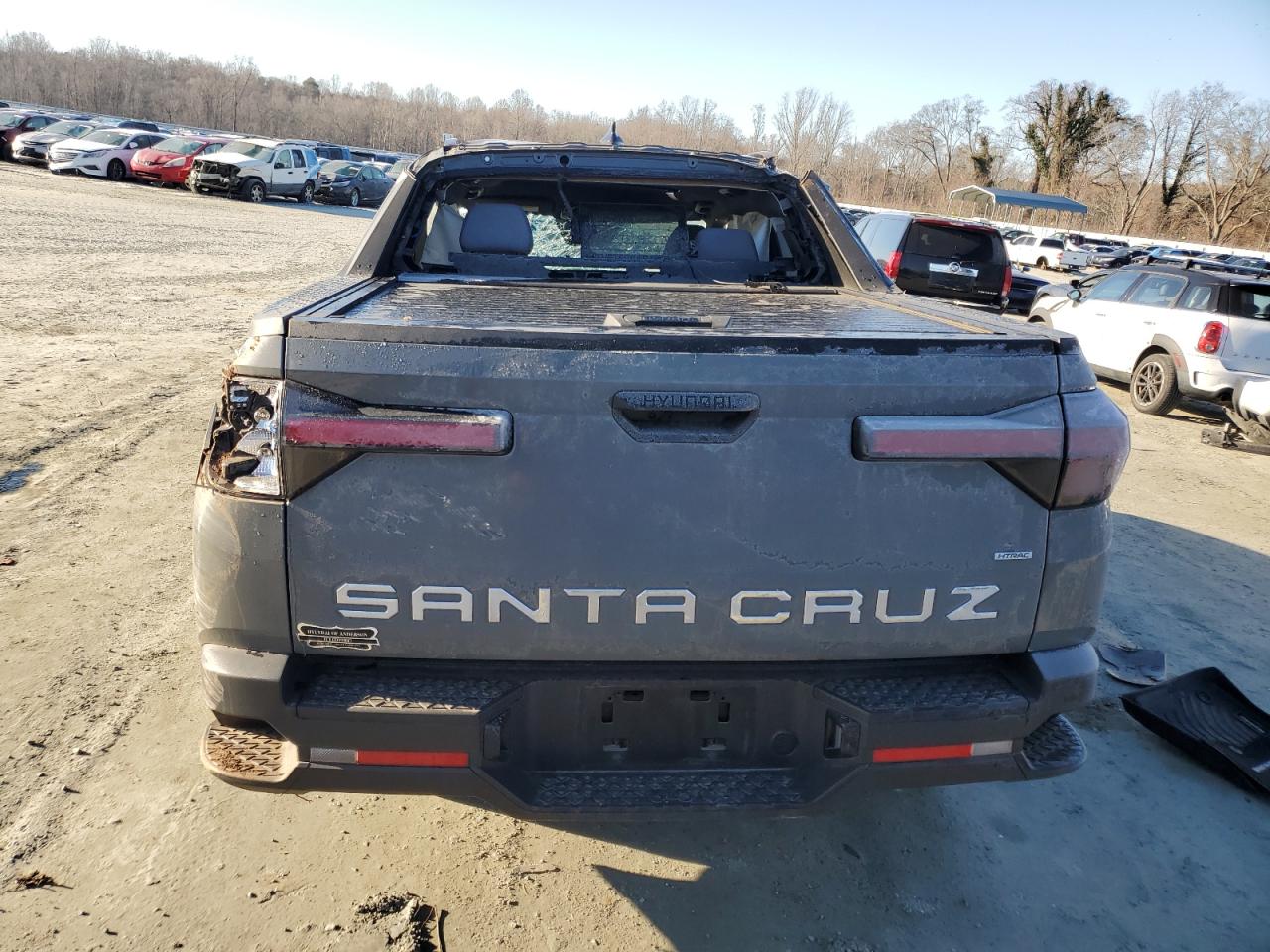 2024 HYUNDAI SANTA CRUZ SEL VIN:5NTJCDAE6RH084419