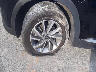 2019 Hyundai Santa FE KMHS281BBLU262622 VIN:KMHS281BBLU262622