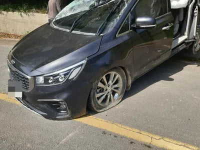 2020 Kia Carnival KNAMC81ABLS664335 VIN:KNAMC81ABLS664335