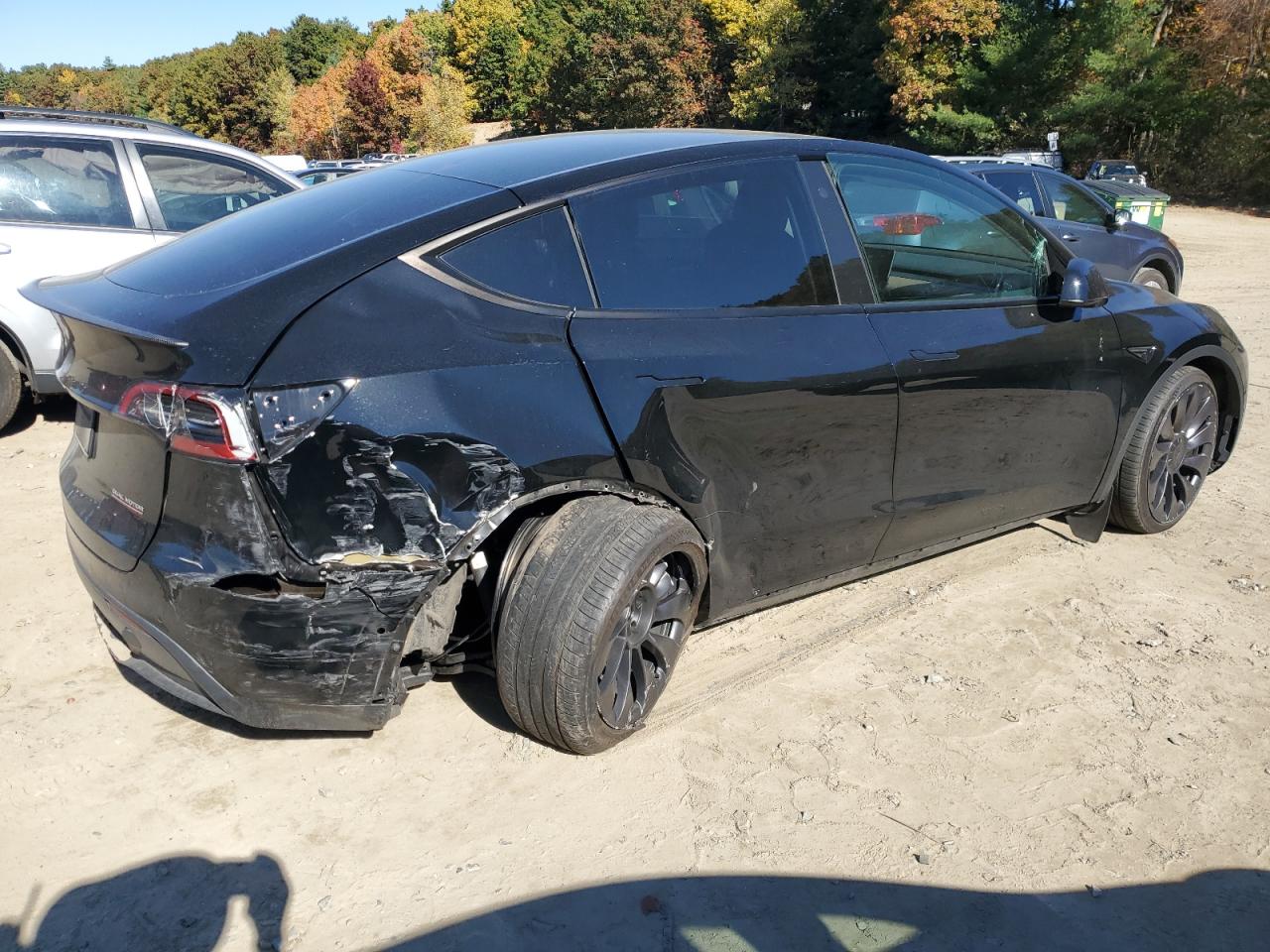 2022 TESLA MODEL Y  VIN:7SAYGDEF0NF572135