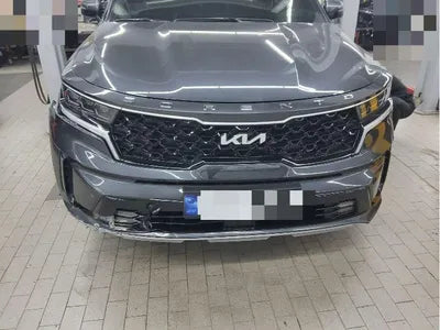 2023 Kia Sorento KNARL81BHPA229081 VIN:KNARL81BHPA229081