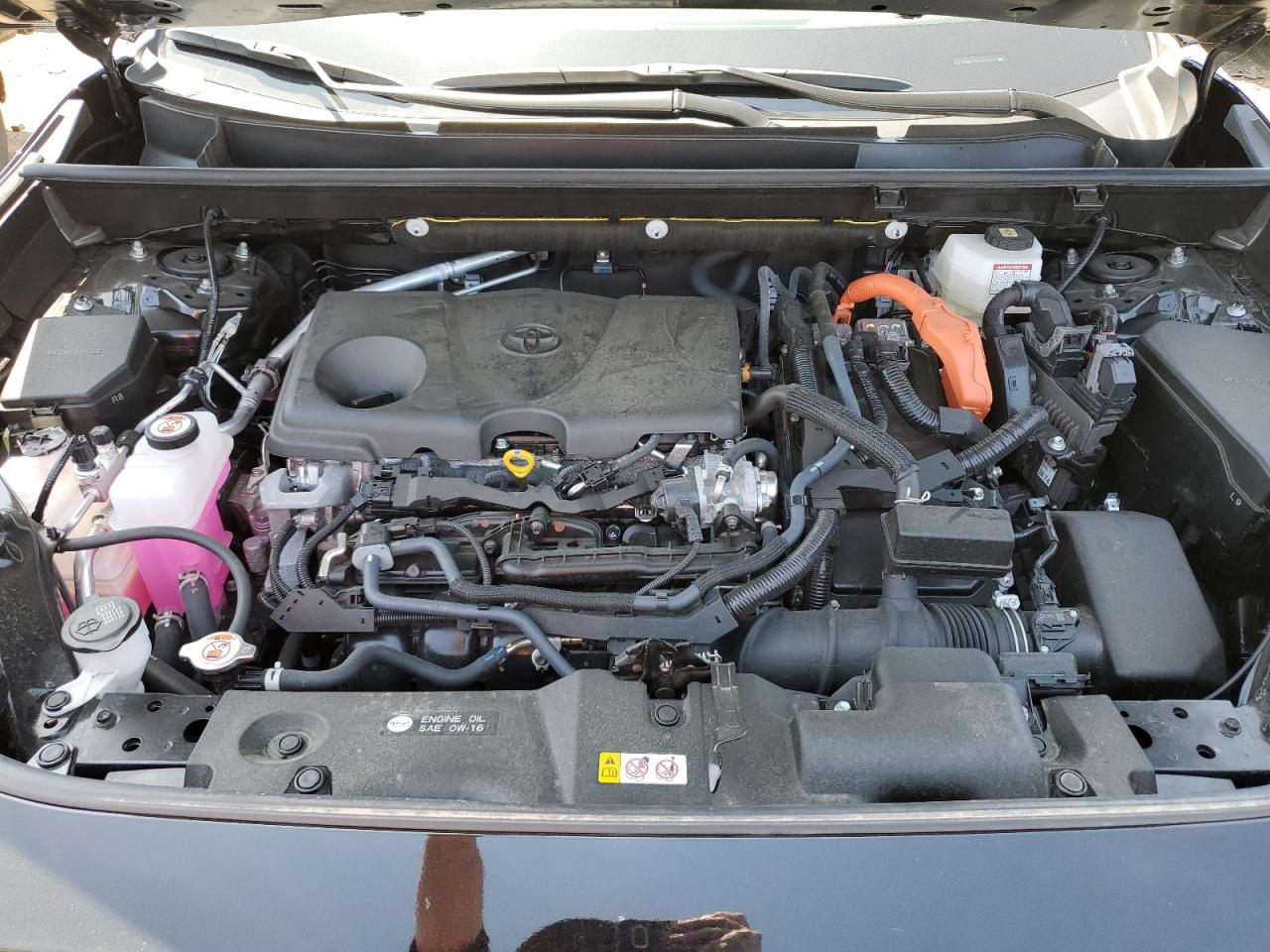 2023 TOYOTA RAV4 XLE VIN:JTMRWRFVXPD187814