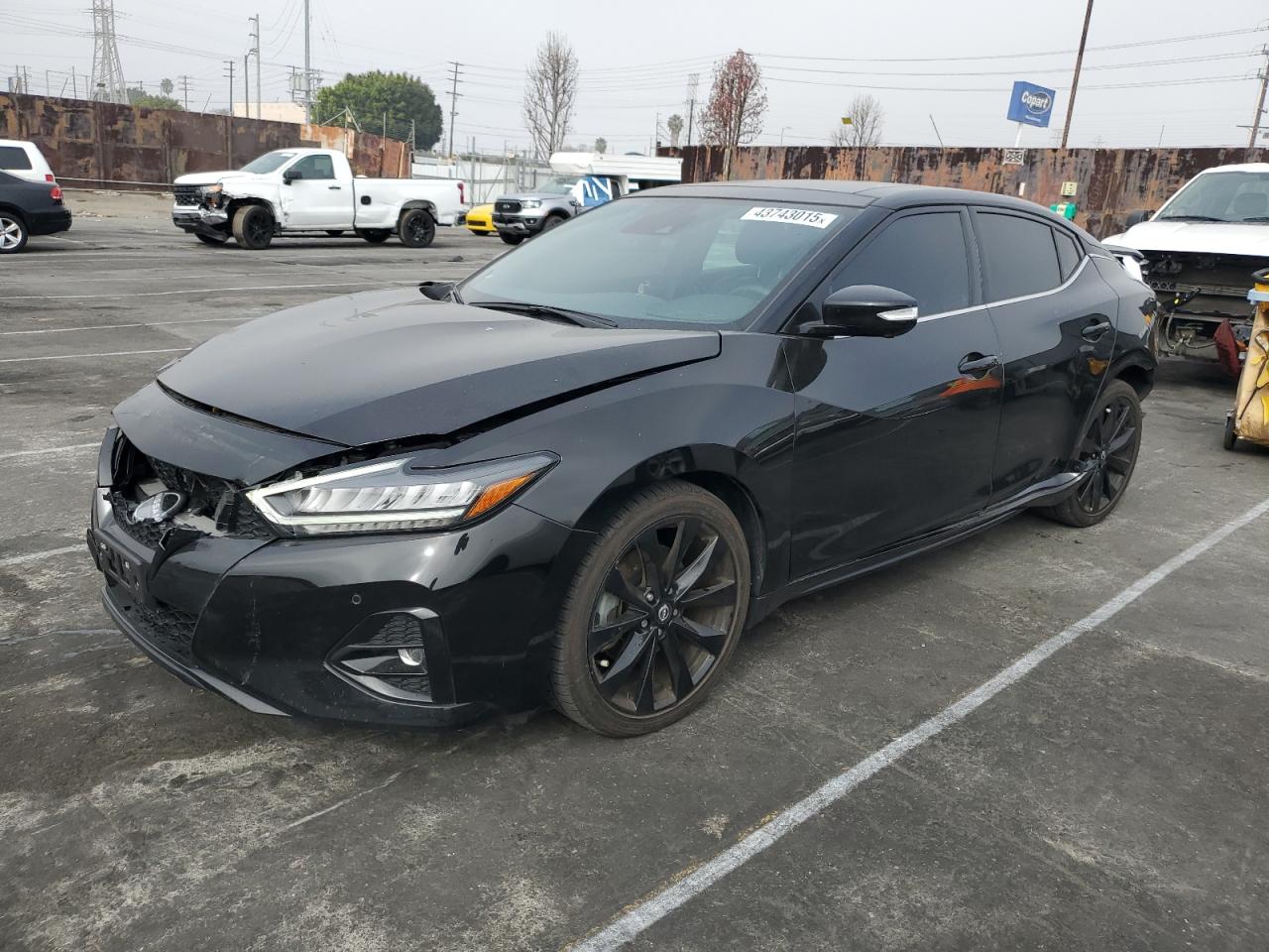 2023 NISSAN MAXIMA SR VIN:1N4AA6EV1PC505083