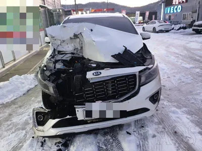 2019 Kia Carnival KNAME81ABKS487105 VIN:KNAME81ABKS487105