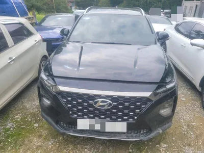 2019 Hyundai Santa FE KMHS281BDKU020129 VIN:KMHS281BDKU020129