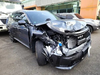 2023 Kia Sorento KNARH81GBPA197829 VIN:KNARH81GBPA197829