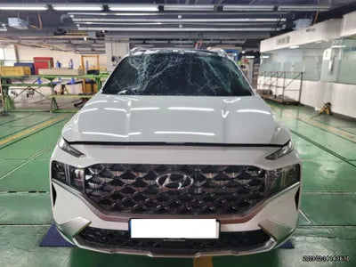 2021 Hyundai Santa FE KMHS581LHMU399471 VIN:KMHS581LHMU399471