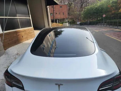 2021 Tesla Model 3 5YJ3E1EBXMF025672 VIN:5YJ3E1EBXMF025672