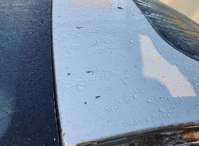 2020 Mercedes-Benz E 300 W1KZF5EB5LA841295 VIN:W1KZF5EB5LA841295