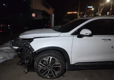 2019 Hyundai Santa FE KMHS381CBKU028156 VIN:KMHS381CBKU028156
