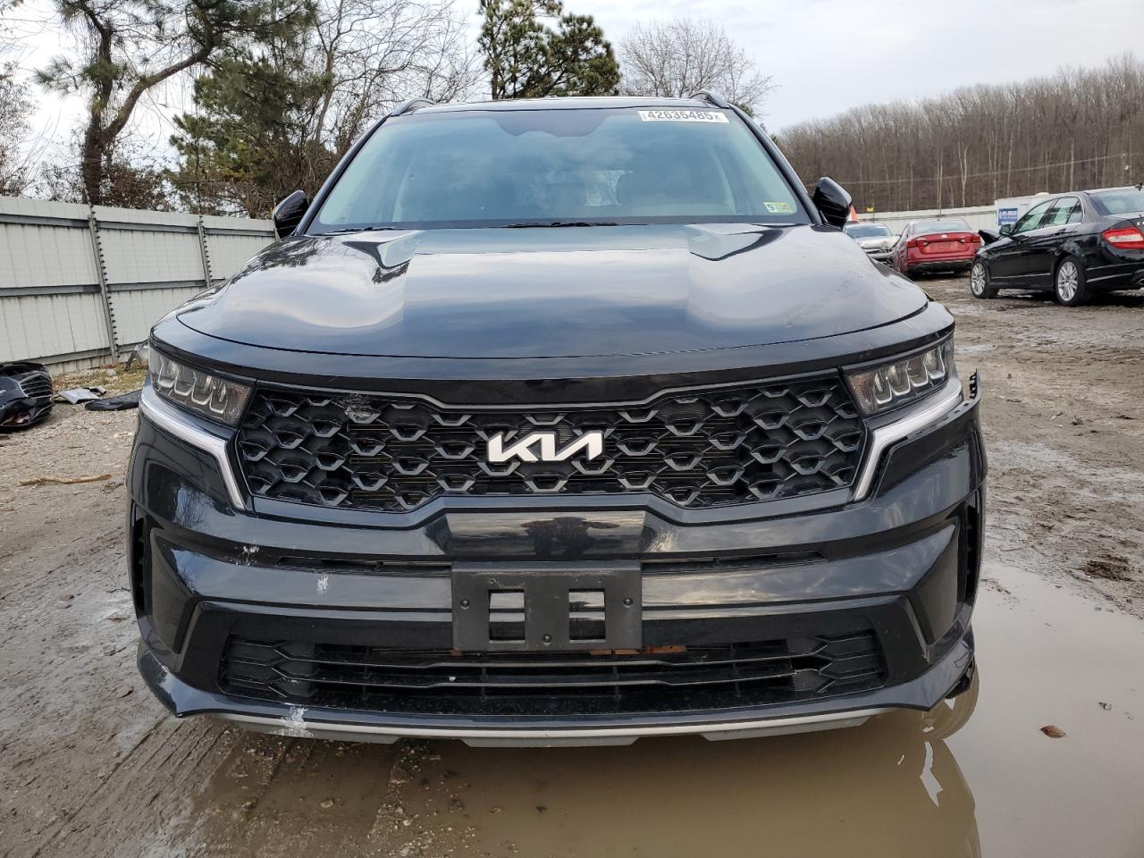 2023 KIA SORENTO S VIN:5XYRL4LC6PG232845