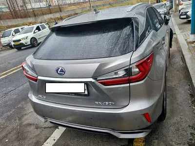 2017 Lexus RX 450 JTJBGMCA6H2028124 VIN:JTJBGMCA6H2028124