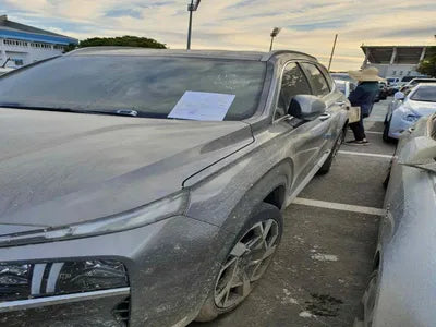 2021 Hyundai Santa FE KMHS381LGMU375596 VIN:KMHS381LGMU375596