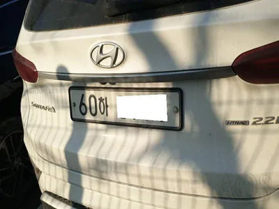 2018 Hyundai Santa FE KMHS581CDKU124309 VIN:KMHS581CDKU124309