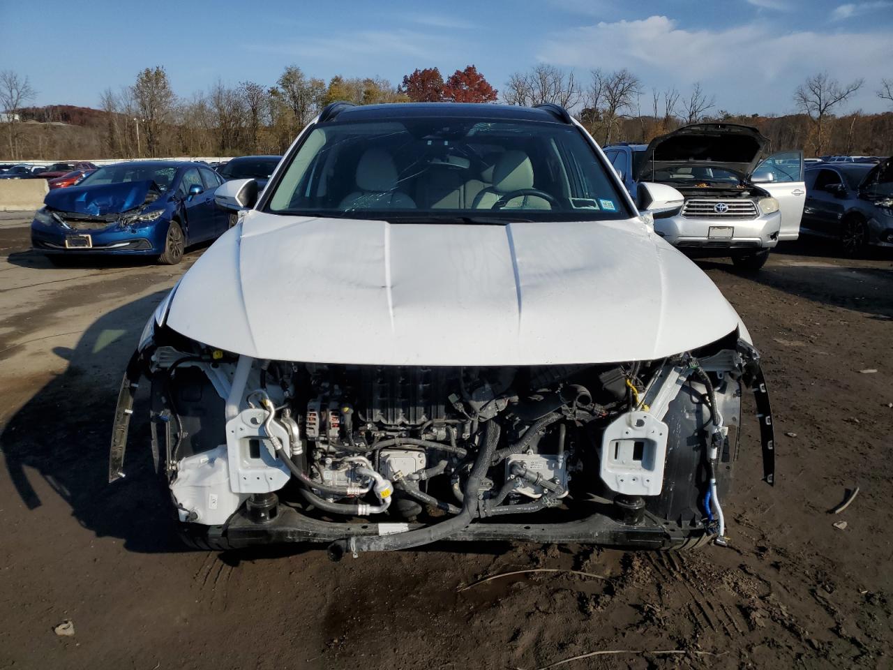 2024 HYUNDAI TUCSON LIMITED VIN:5NMJECDEXRH295036