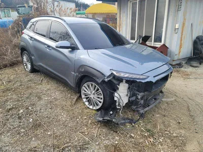 2019 Hyundai Kona KMHK3816GJU239353 VIN:KMHK3816GJU239353