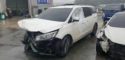 2020 Kia Carnival KNAMB81ABLS655664 VIN:KNAMB81ABLS655664