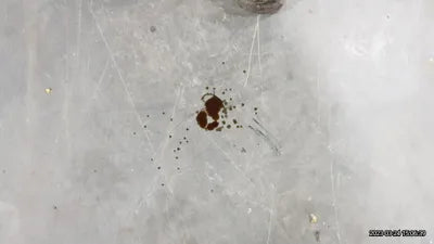 2015 MINI Cooper VIN: