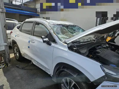 2020 Hyundai Santa FE VIN: