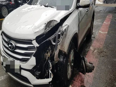 2016 Hyundai Santa FE KMHSW81UBGU697281 VIN:KMHSW81UBGU697281