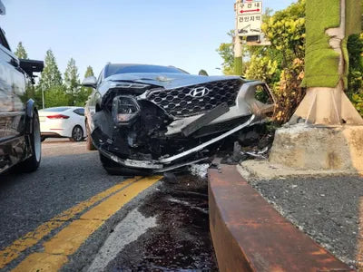 2019 Hyundai Santa FE KMHS381BBKU156411 VIN:KMHS381BBKU156411