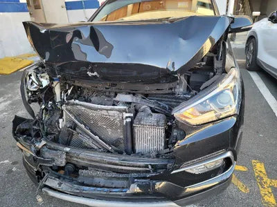 2018 Hyundai Santa FE KMHSW81UBJU840665 VIN:KMHSW81UBJU840665