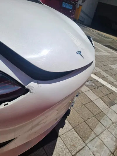 2019 Tesla Model 3 5YJ3E1EA4LF585502 VIN:5YJ3E1EA4LF585502