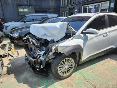 2018 Hyundai Kona KMHK4815GJU062598 VIN:KMHK4815GJU062598
