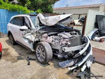 2020 Kia Sorento KNARG81BGMA006969 VIN:KNARG81BGMA006969