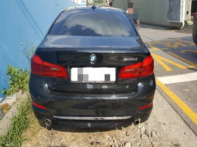 2019 BMW 520 WBAJF3101KBS69891 VIN:WBAJF3101KBS69891