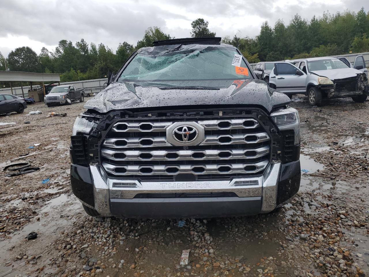 2023 TOYOTA TUNDRA CREWMAX PLATINUM VIN:5TFMA5DB5PX126167