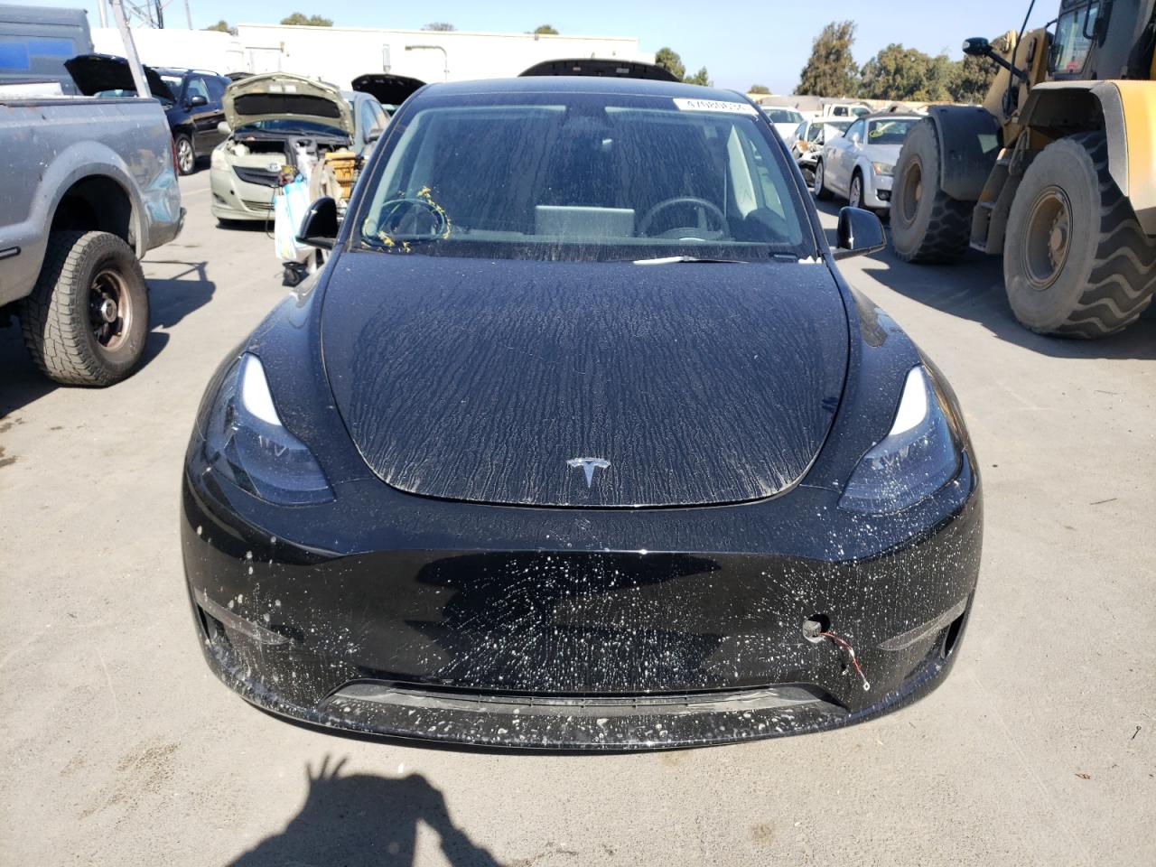 2023 TESLA MODEL Y  VIN:7SAYGAEE3PF814750