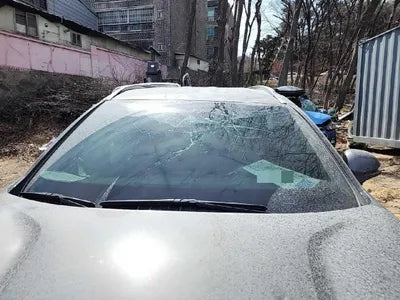 2019 Hyundai Santa FE VIN: