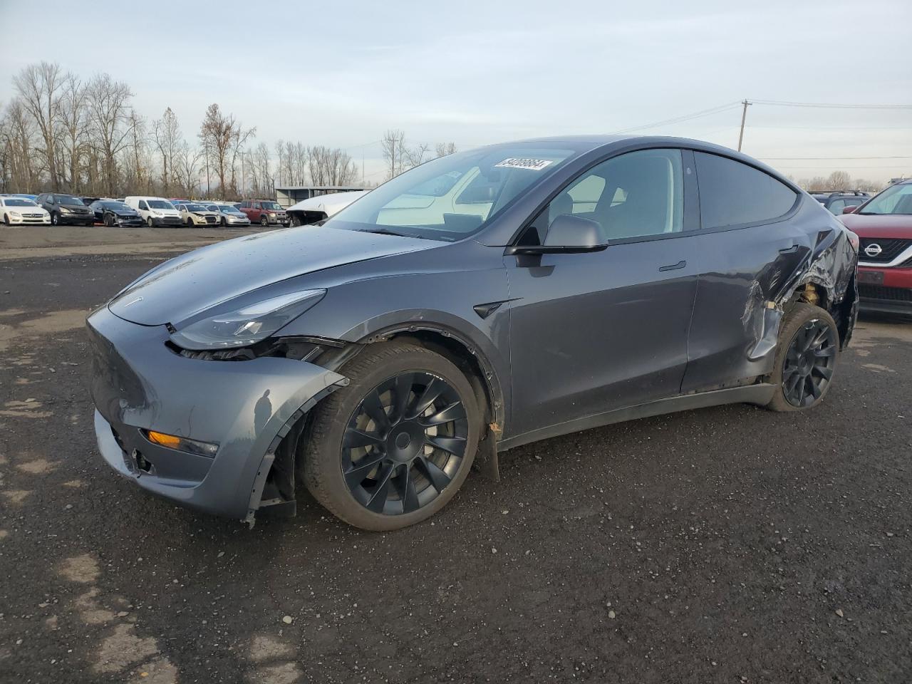 2023 TESLA MODEL Y  VIN:7SAYGDEE3PF905891