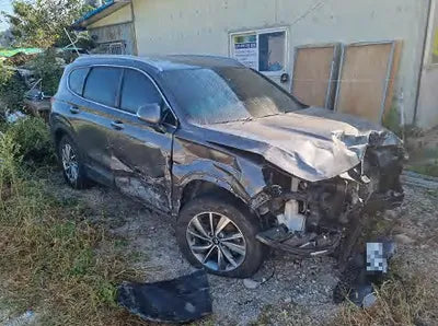 2019 Hyundai Santa FE KMHS281CBKU142045 VIN:KMHS281CBKU142045