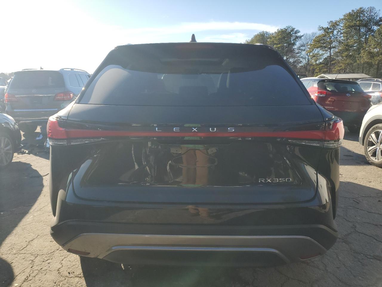 2024 LEXUS RX 350 BASE VIN:2T2BAMBA5RC028698
