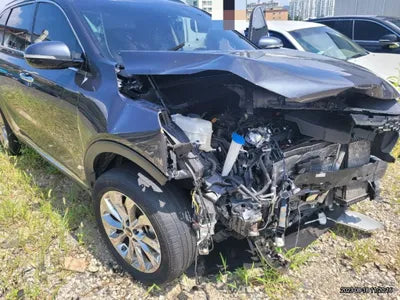 2019 Kia Sorento KNAPS81BBKA545743 VIN:KNAPS81BBKA545743