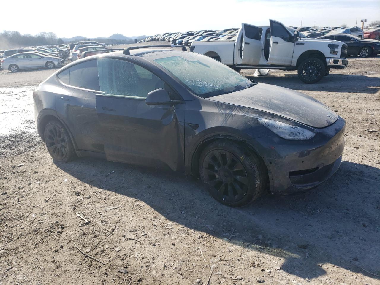 2022 TESLA MODEL Y  VIN:7SAYGDEEXNF357224